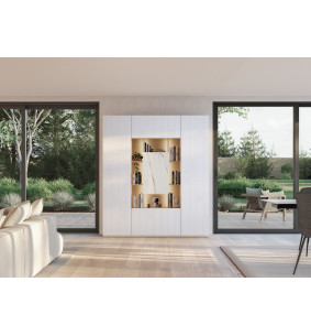 Meuble de rangement avec niches et porte centrale 2